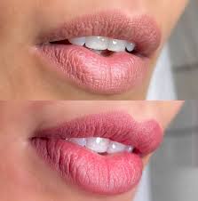 Micropigmentação Labial - Como fazer? Onde aprender? 6 download 33