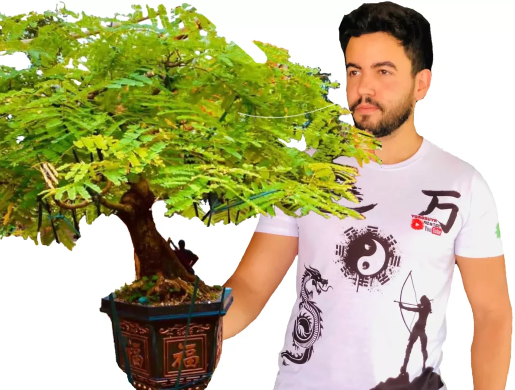 Curso de BONSAI de Flamboyant Completo - Prof DMelo 3 Curso de BONSAI de Flamboyant Completo - Prof DMelo