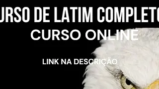 Curso de Latim Online Completo Adriano 3 Curso de Latim Online - Completo - Adriano