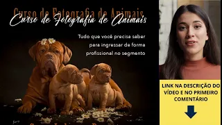 Curso de Fotografia de Animais - Johnny Duarte 3 Curso de Fotografia de Animais - Johnny Duarte
